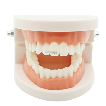 1PC kompozītmateriālu gaismas konservēšanas sveķu zobu šļirču universālā abažūrs