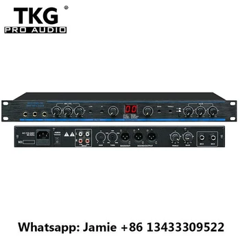 TKG DSP 100sound sistēmas audio procesors DSP-100 Profesionālus Digitālā Karaoke Preamp DSP100 Procesors audio sistēmas audio sistēmas