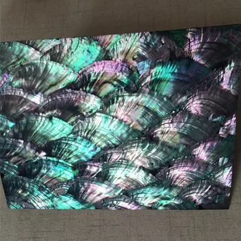 Krāsotas ventilators patterin paua abalone shell perlamutra lamināta lapas dekorēšanai un koka kastīšu izmērs 240/140mm